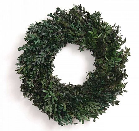 18" Preserved Oregon Boxwood Wreath